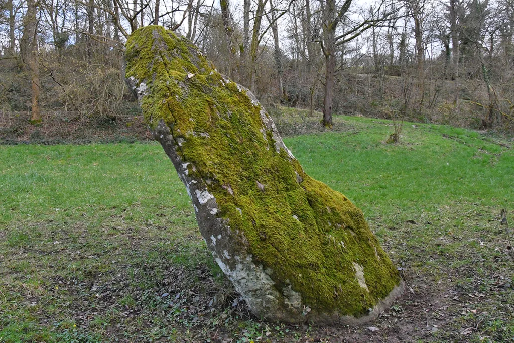 Le menhir de la Longue-Roche, sur la commune de Giel-Courteilles. En prenant la route reliant Ménil-Jean à Giel, le pont de la Villette enjambe l'Orne ; il se trouve à cent mètres du pont et à cinq mètres de la rivière. Incliné vers le nord, c'est un bloc de grès bien travaillé sur ses quatre faces et qui fait trois mètres de hauteur. (Photo Rodolphe Corbin © Patrimoine Normand)