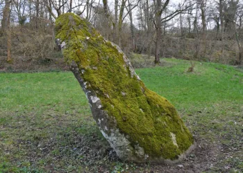 Le menhir de la Longue-Roche, sur la commune de Giel-Courteilles. En prenant la route reliant Ménil-Jean à Giel, le pont de la Villette enjambe l'Orne ; il se trouve à cent mètres du pont et à cinq mètres de la rivière. Incliné vers le nord, c'est un bloc de grès bien travaillé sur ses quatre faces et qui fait trois mètres de hauteur. (Photo Rodolphe Corbin © Patrimoine Normand)