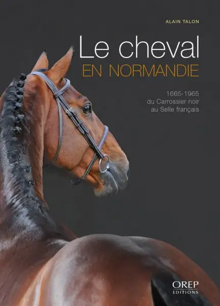 Le cheval en Normandie