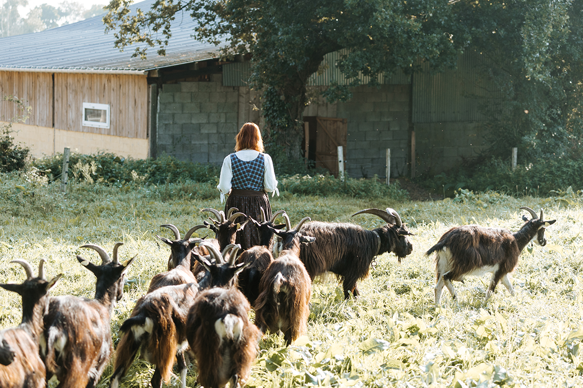 La ferme du Chastel – Des paysans fromagers en Cotentin