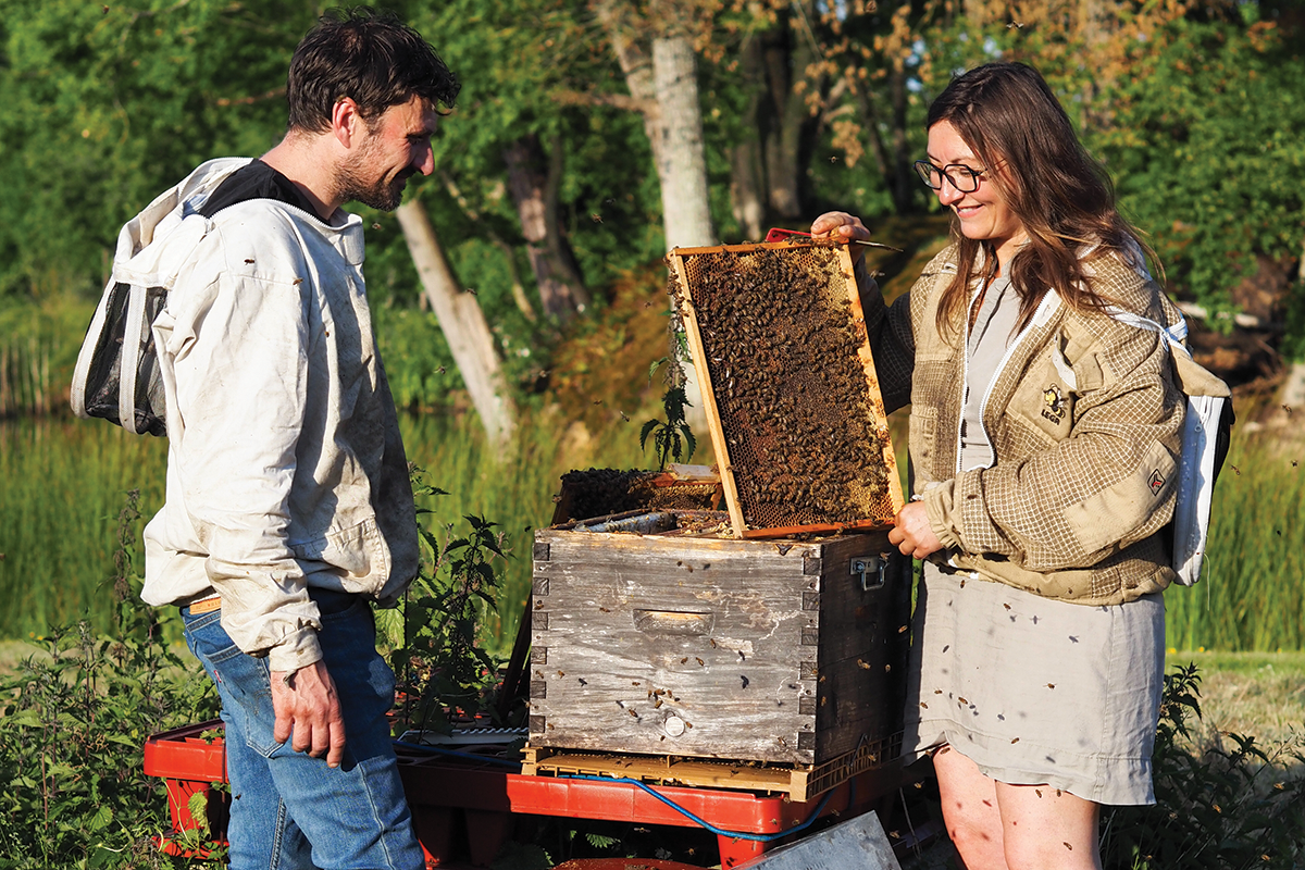 Ruchers de Normandie : un savoir-faire apicole en pays d’Ouche