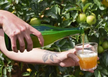 Fort en pommes : pommes, cidre et cidriculture en Normandie. (© Damien Bouet)