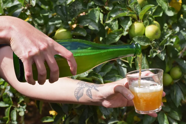 Fort en pommes : pommes, cidre et cidriculture en Normandie. (© Damien Bouet)