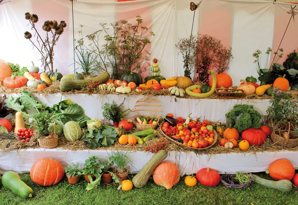 Le Potager conservatoire de Beaumesnil produit depuis de nombreuses années des variétés anciennes de légumes. (© Paris-Normandie)
