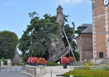 Le chêne d'Allouville-Bellefosse toujours vaillant. (Photo Rodolphe Corbin © Patrimoine Normand)