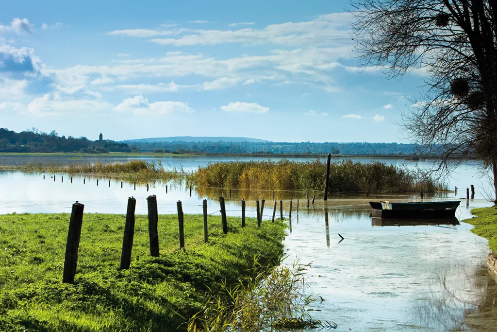 En automne et en hiver, les précipitations font sortir les rivières de leur lit : c’est la blanchie des marais. (© Thierry Houyel­­­­)