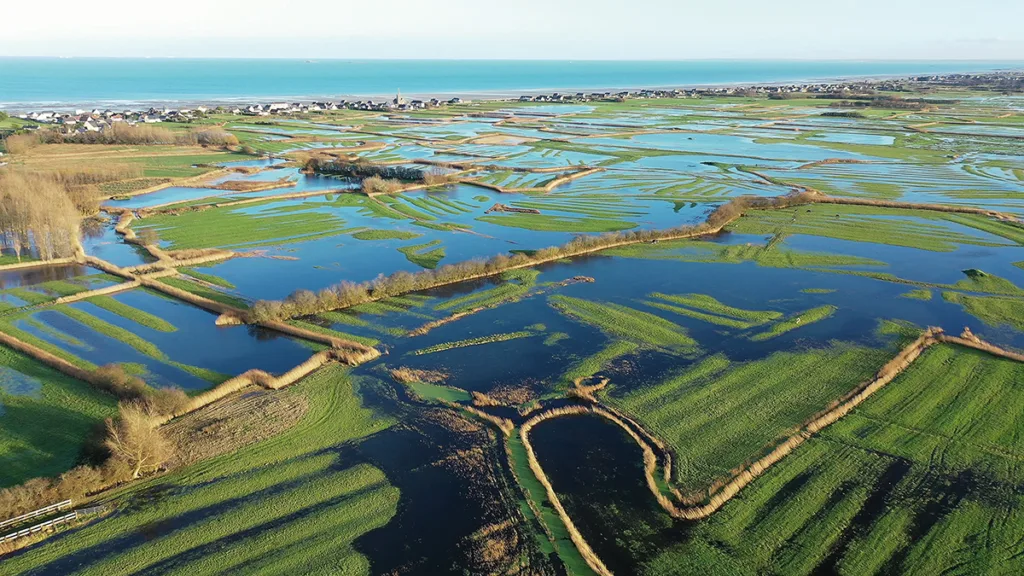 Les marais du Cotentin et du Bessin, situés entre deux mers, regroupent une variété de paysages insoupçonnée. (© Patrice Lecarpentier, PnrMCB)