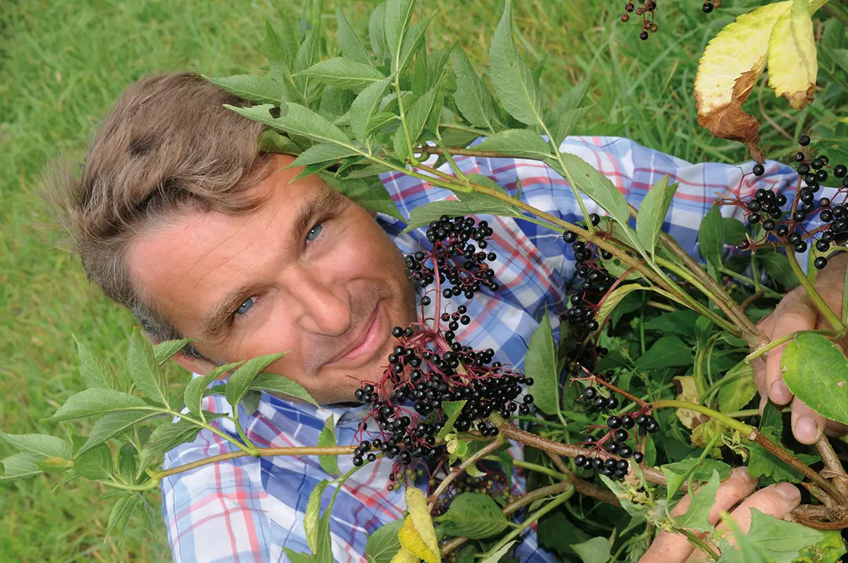 Le Paulmier : pétillants et condiments