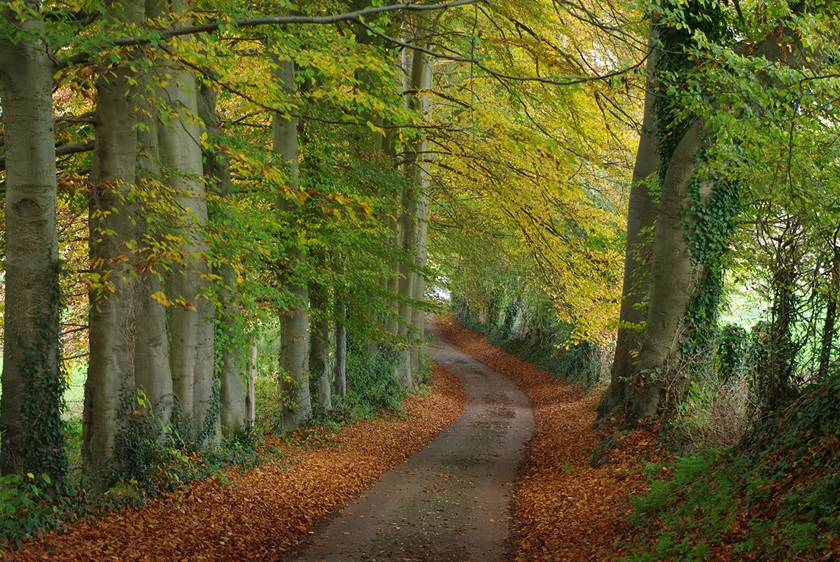 À la découverte de la presqu’île de Jumièges