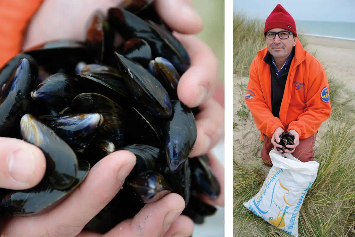 La moule de bouchot