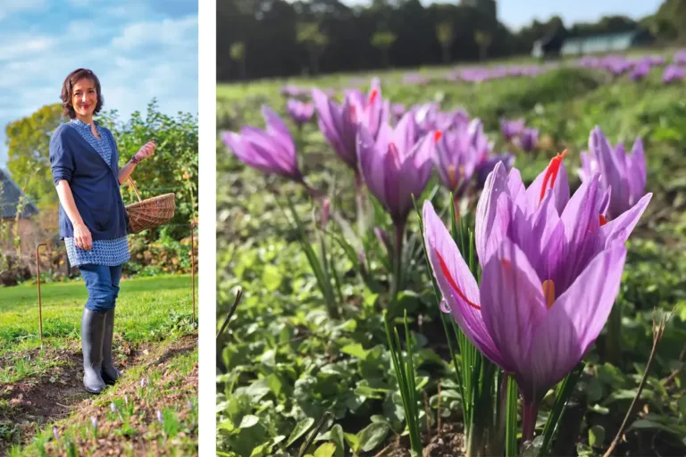 Myriam Duteil a choisi d’introduire une touche mauve, au milieu d’un paysage verdoyant. (© Myriam Duteil)