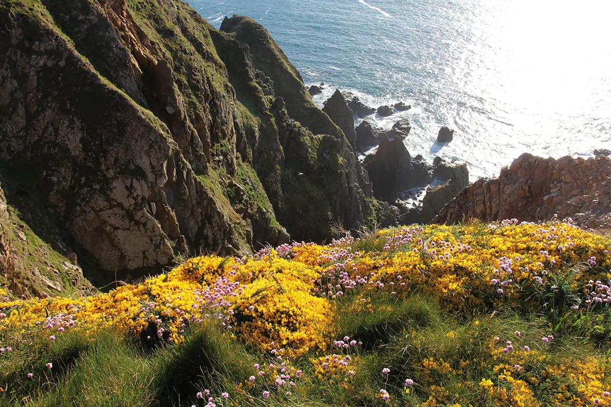 Aurigny – Forteresse sauvage