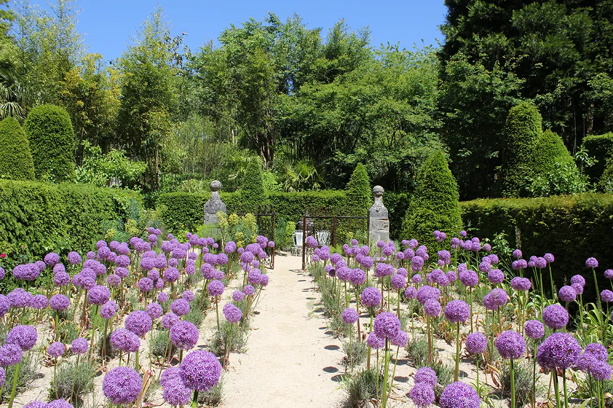 Le Jardin Agapanthe – le rêve du paysagiste
