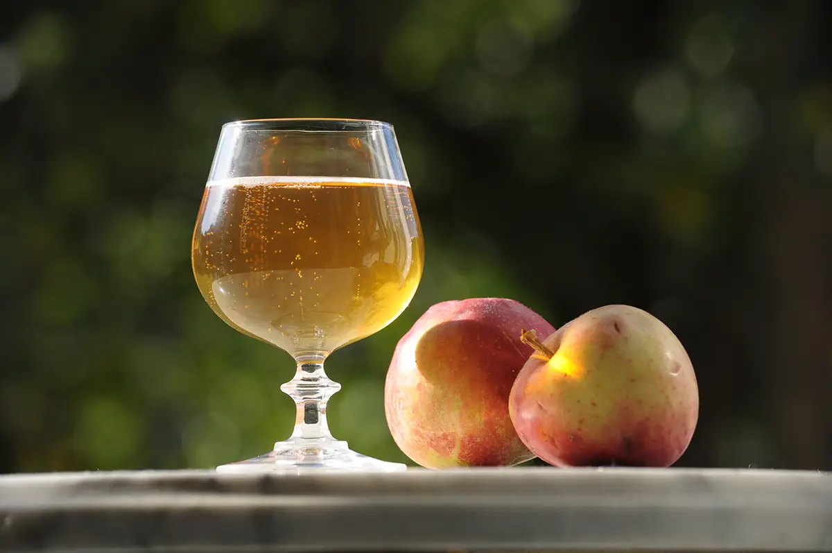 Histoire du cidre – Succès et échecs d&rsquo;un emblème gastronomique normand