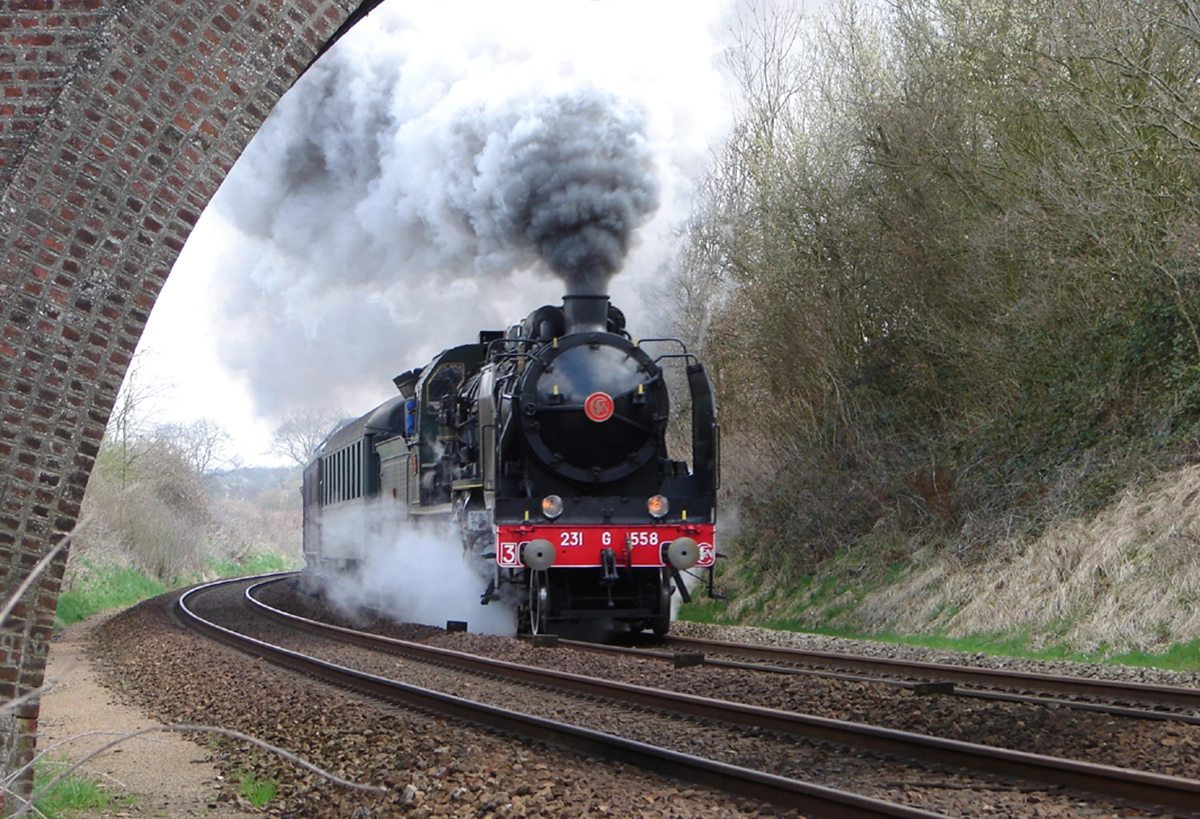 La Pacific 231 : un train pas comme les autres