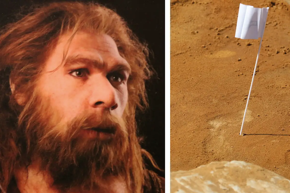 Dans les pas de Néandertal – Les premiers hommes en Normandie