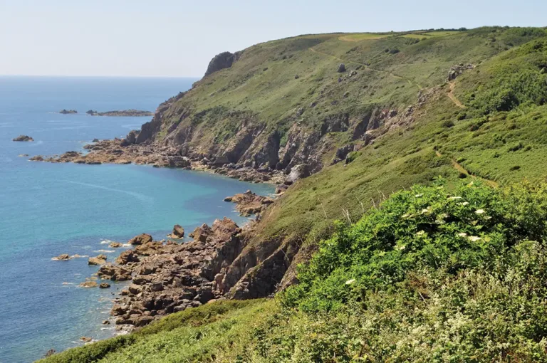L’histoire des êtres vivants en Normandie à travers quelques fossiles
