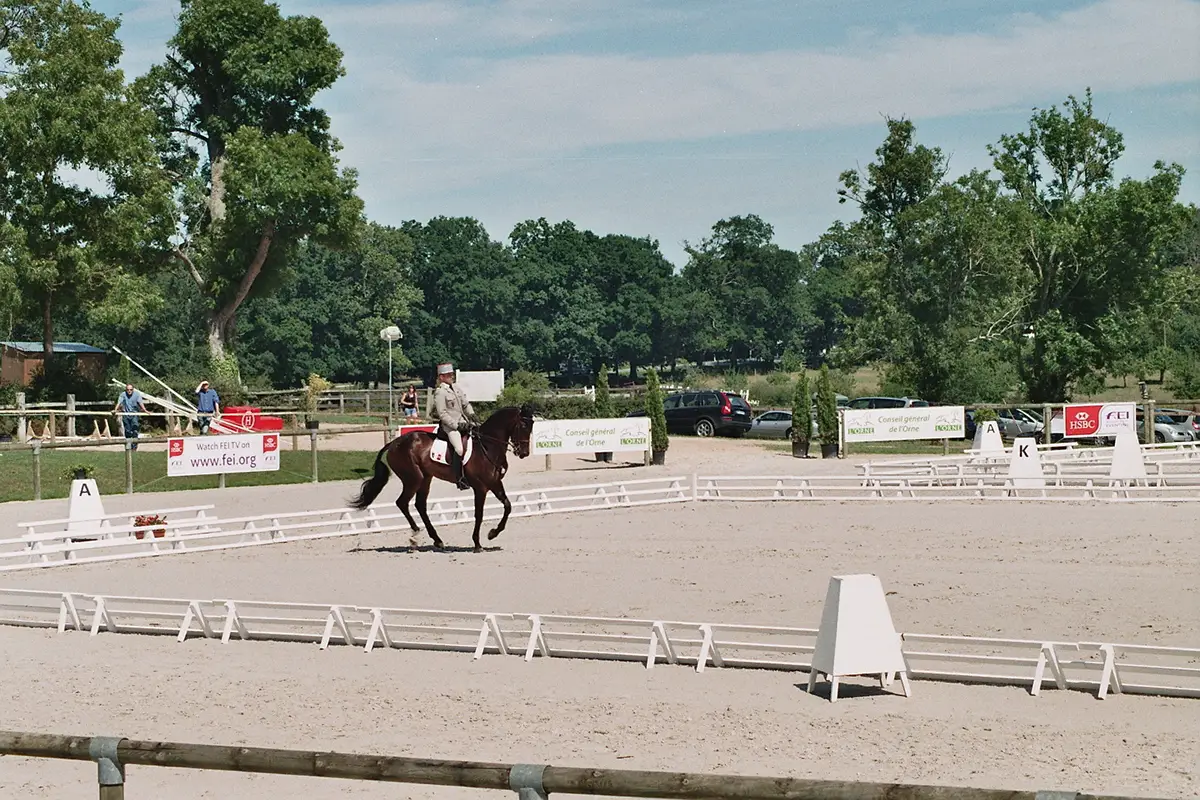 Dressage aux Jeux Équestres Mondiaux