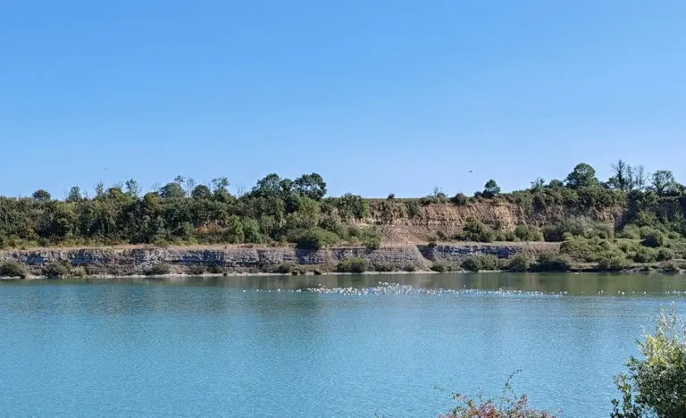 Où voir des fossiles normands ? En Normandie et ailleurs