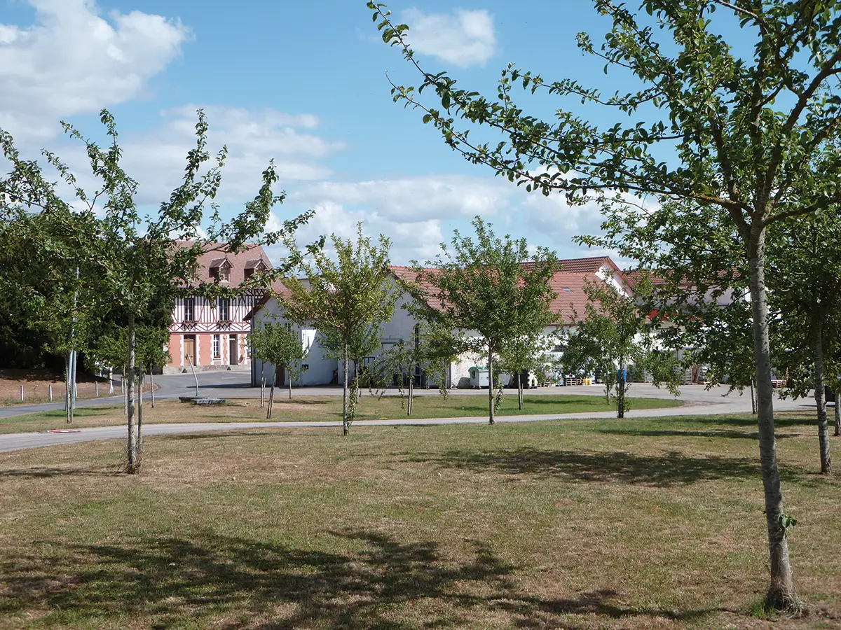 Gastronomie en pays d&rsquo;Auge