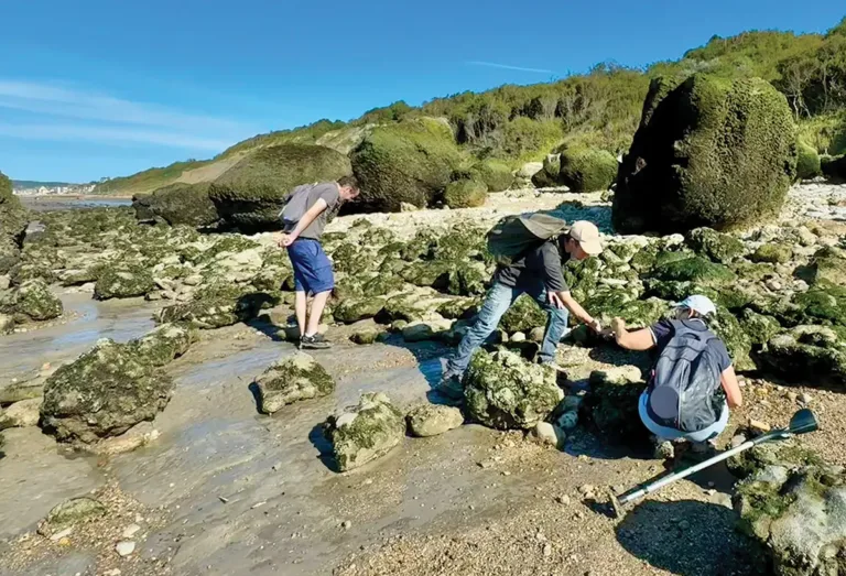 La paléontologie normande menacée ?