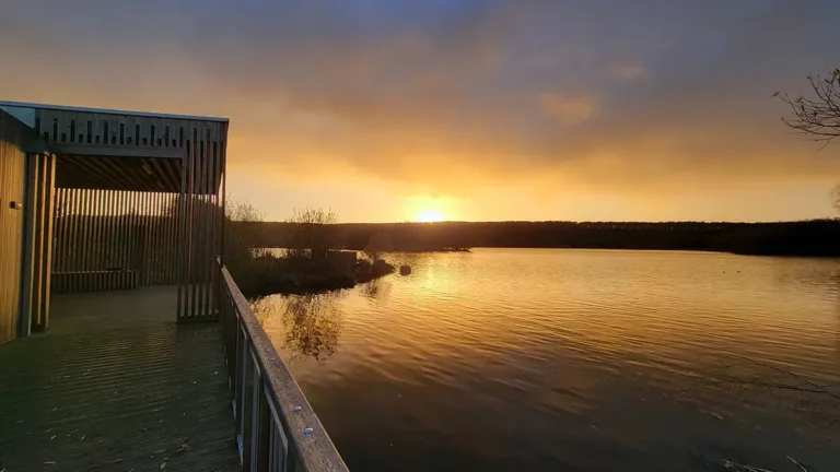 La tourbière d’Heurteauville – Du site industriel à l’asile de biodiversité