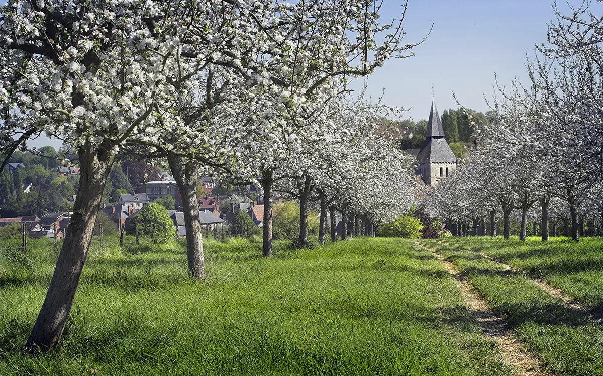 Cambremer, terroir d&rsquo;excellence