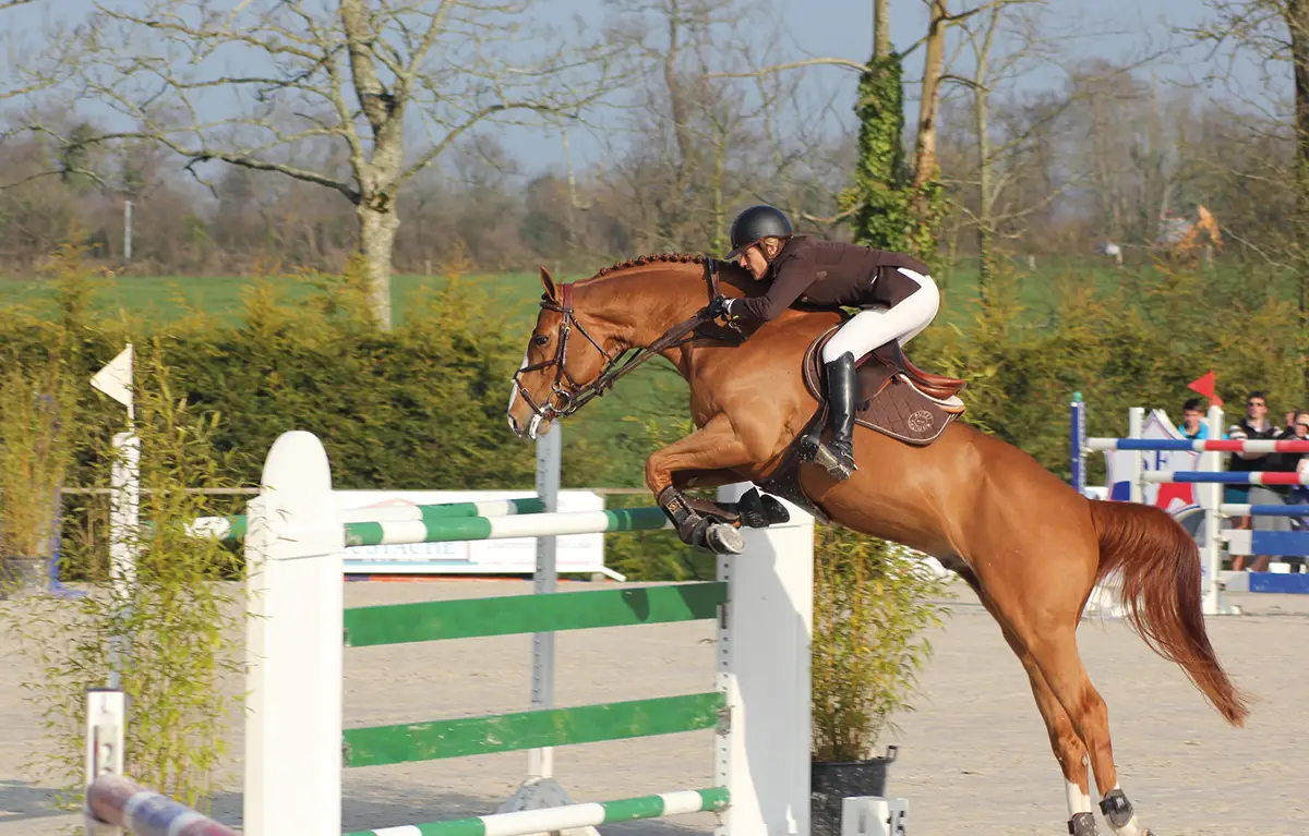 Menaces de grippe équine sur les Jeux Olympiques ?