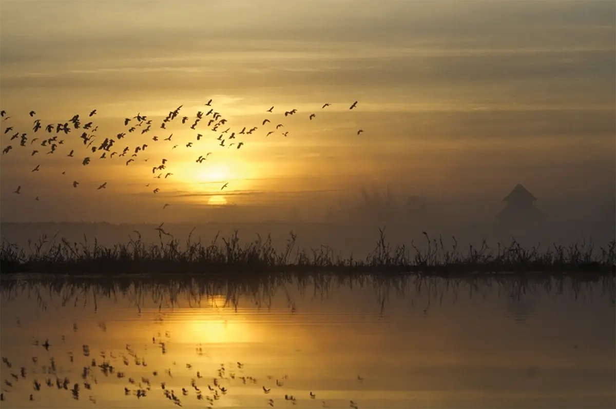 L&rsquo;approche des marais au seuil du Cotentin