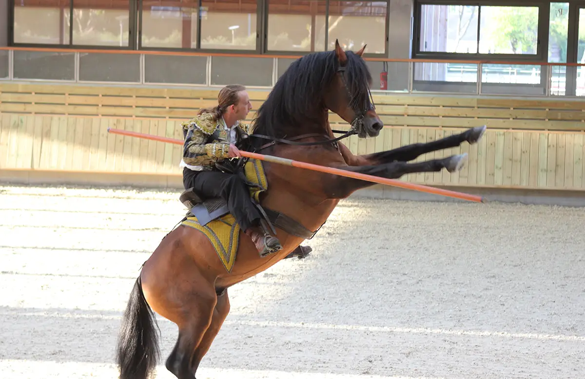 Émotions équestres à Deauville !