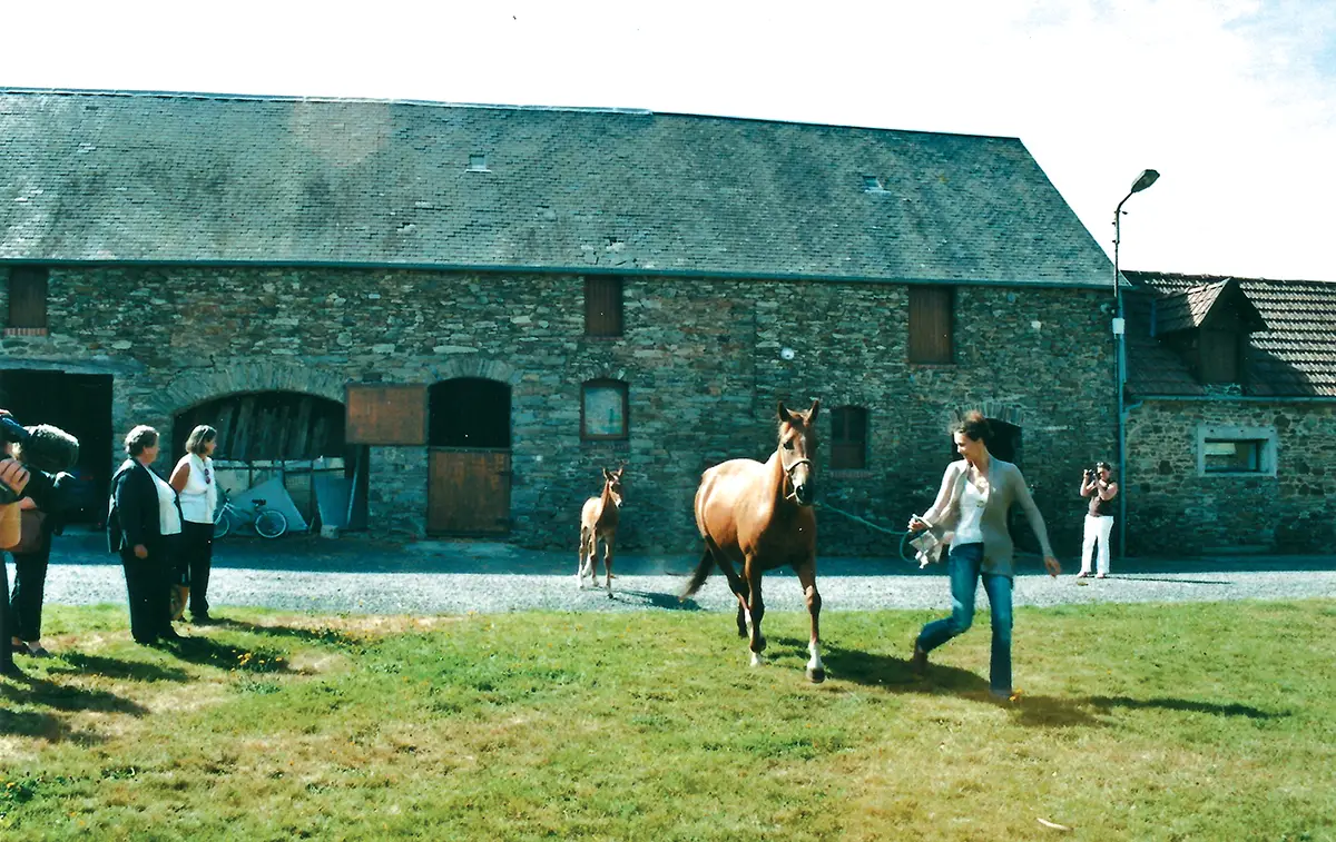 Cheval – La Normandie intéresse les Américains !