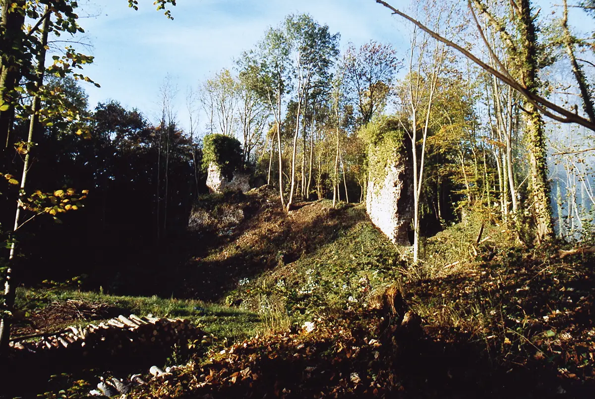 Château de Montfort-sur-Risle : un exemple à suivre