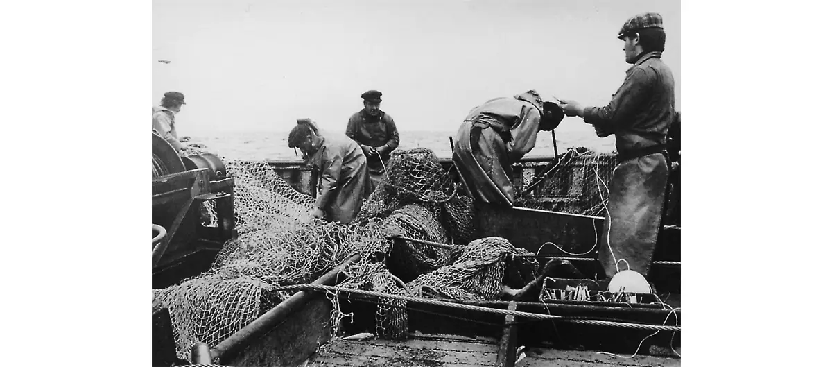 Photo du ramondage du chalut.