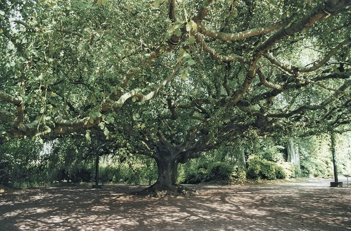 Bayeux : jardin botanique et monument historique !