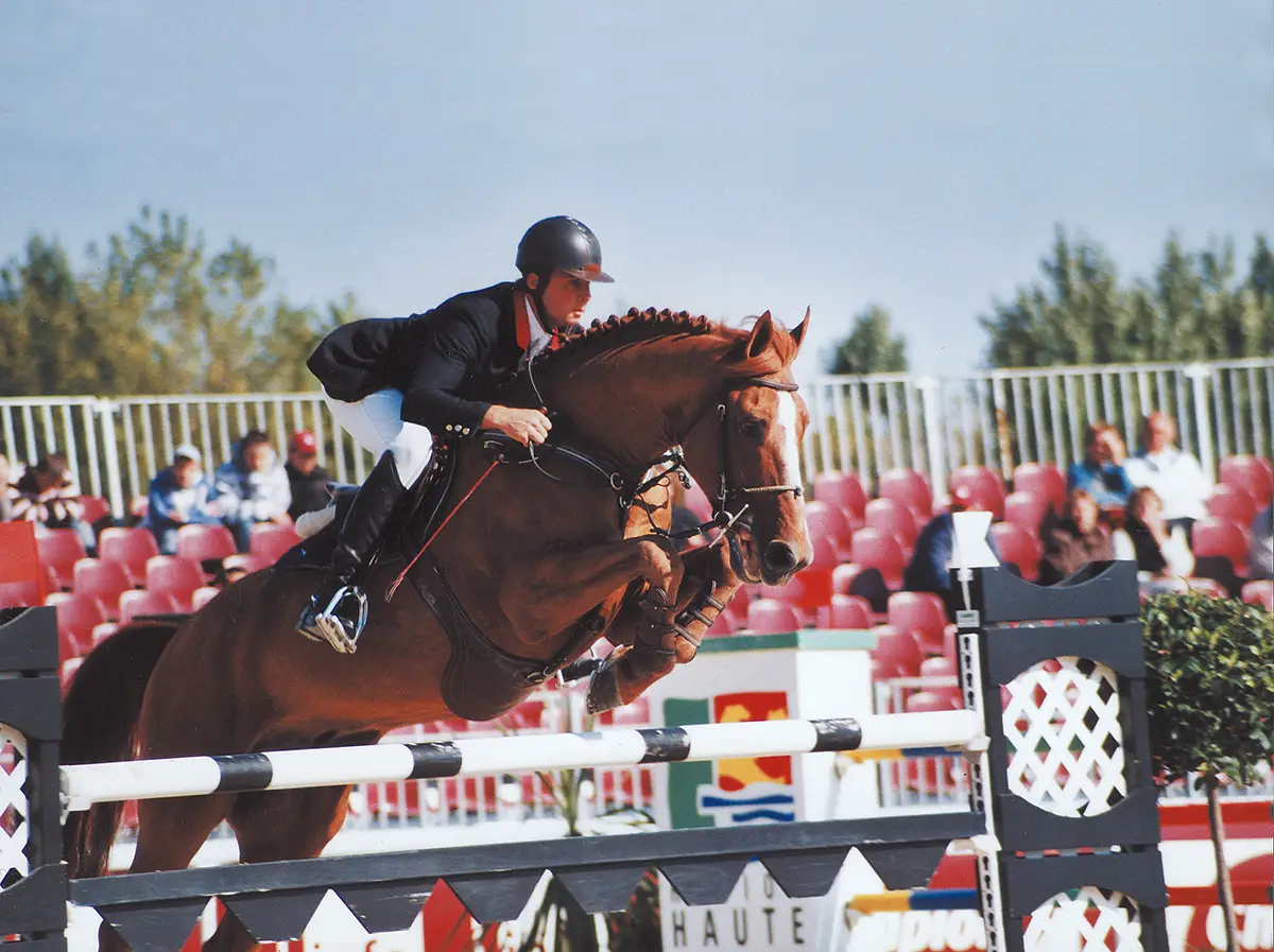 Cheval normand : le creux de la vague