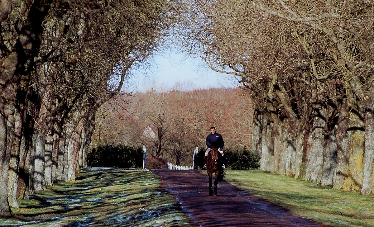 Jeux olympiques : quels cavaliers normands ?