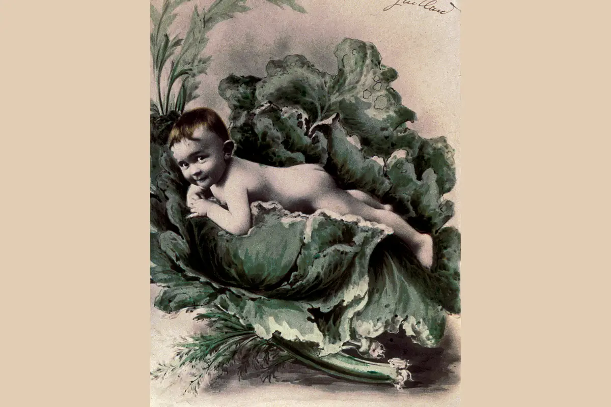 « Bouts de choux »