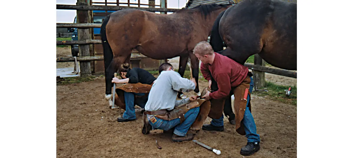 Seule fille de sa promotion, Sarah (à gauche) apprend à parer les pieds de la jumenterie du Pin.