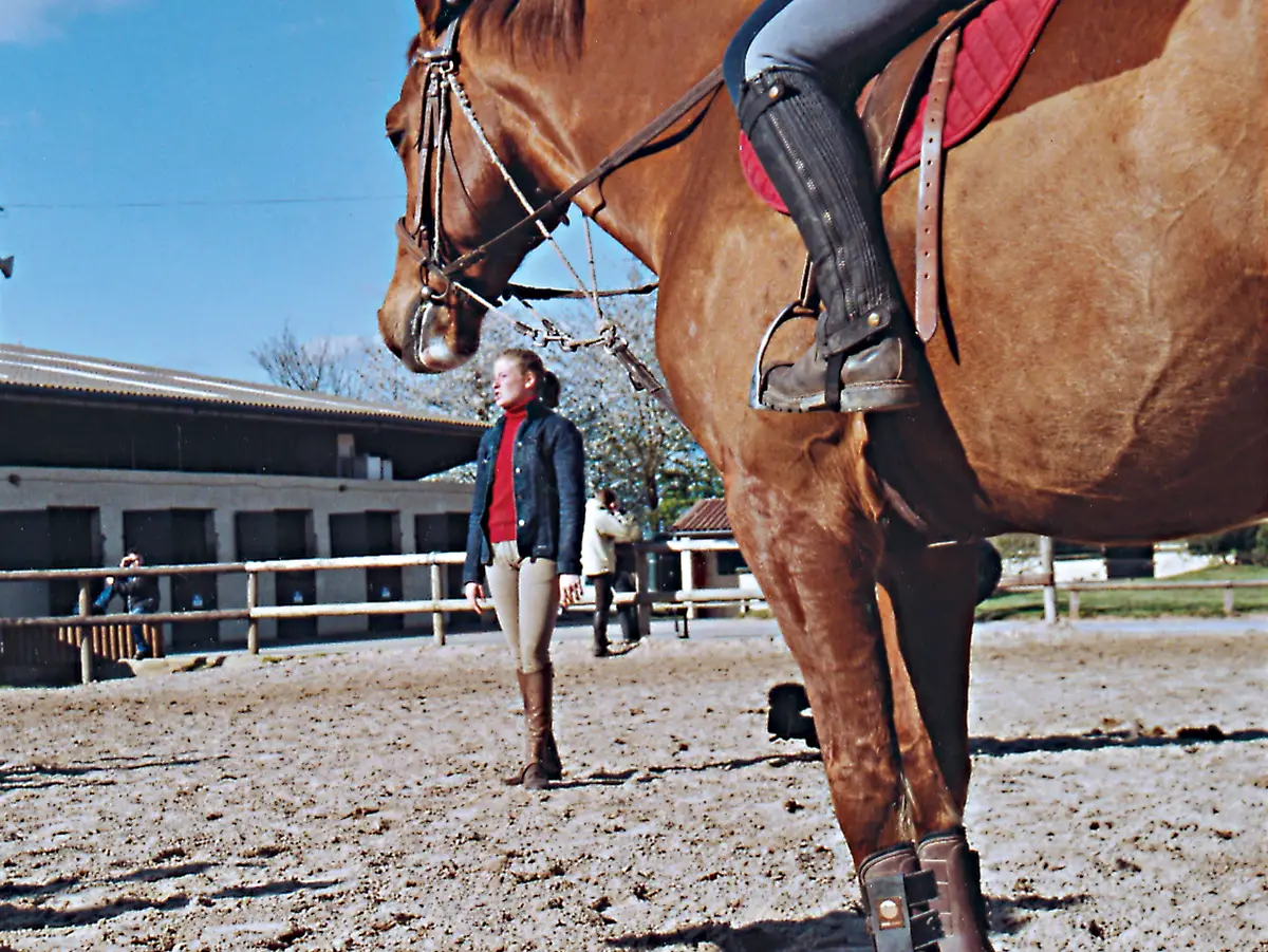 Lycée agricole de Sées : l’université équine normande