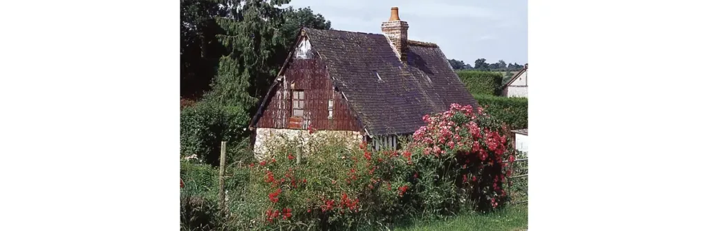 Dans un petit jardin.
