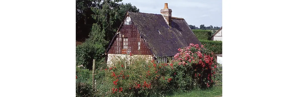 Dans un petit jardin.