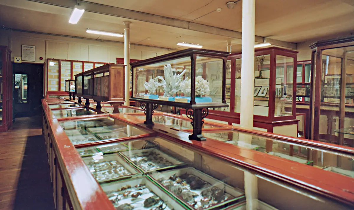 Salle des invertébrés du Muséum d’Histoire Naturelle de Rouen