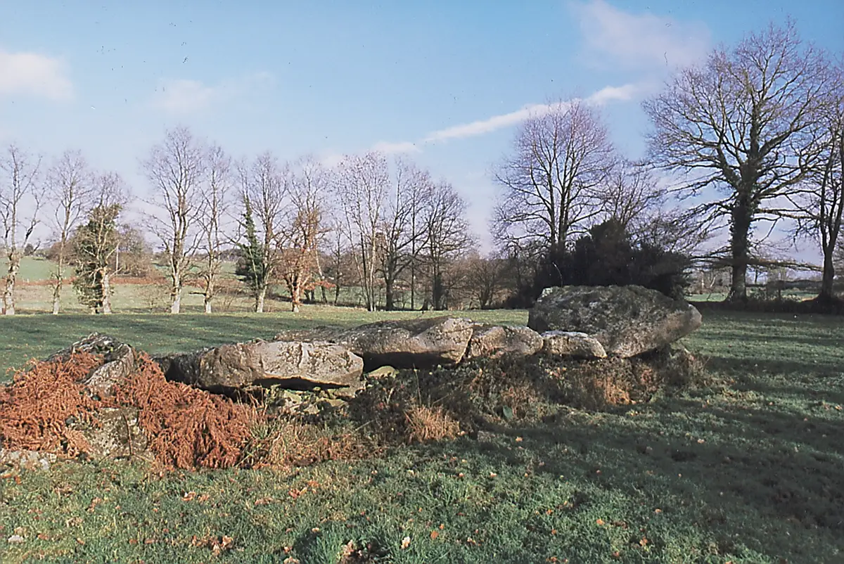 Menhirs et dolmens du Houlme