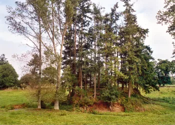 Athis-de-l'Orne. Motte féodale bordée par le Lembron.