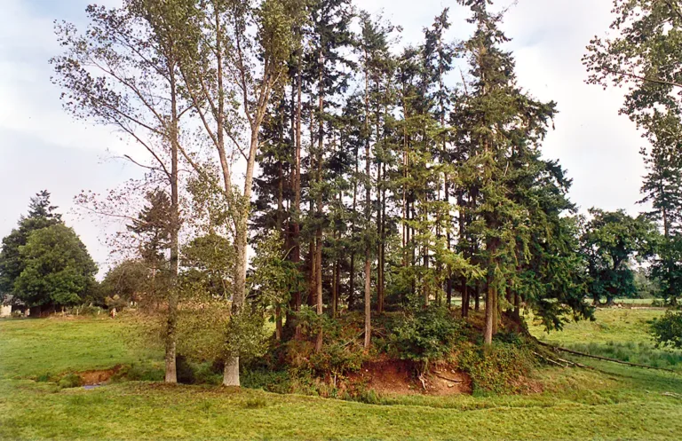 Athis-de-l'Orne. Motte féodale bordée par le Lembron.