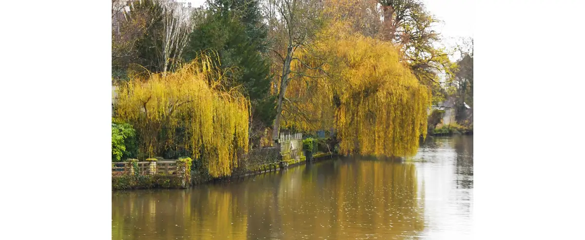 Caen – Le cours Koenig au bord de l'Orne. De l’autre côté débute véritablement le quartier de Vaucelles.