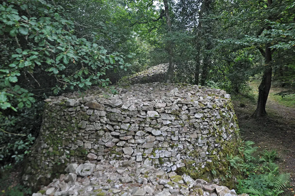 Le camp « celtique » de Bierre
