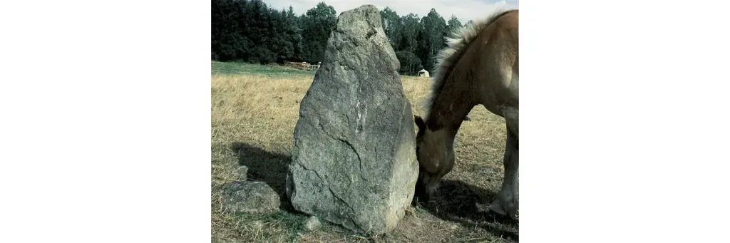 La Forêt Auvray - Menil Hermei - Petit menhir pyramidal situé dans un herbage qui longe la rivière, la Pierre de la Rousselière.