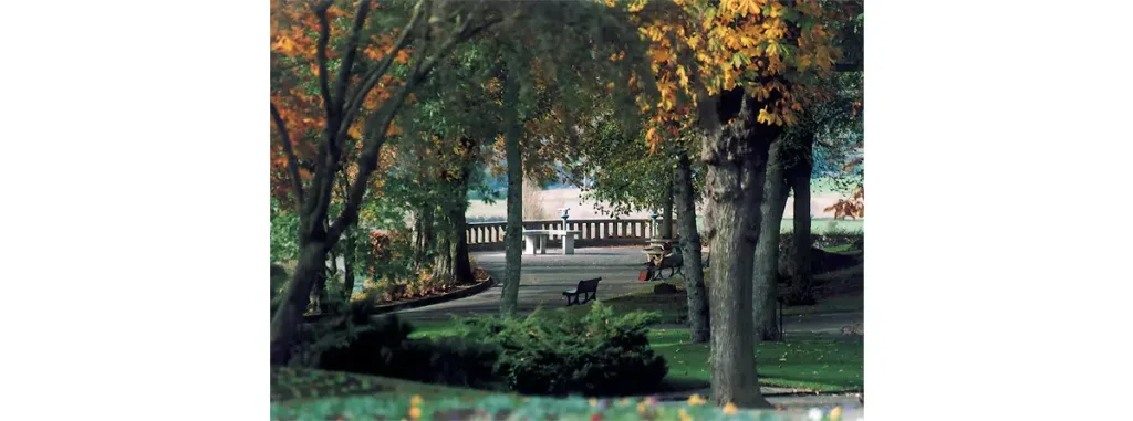 Le Jardin des Plantes constitue une visite incontournable à Avranches. Lieu de promenade agréable, il réunit en outre de nombreuses espèces de plantes et d’arbres anciens. Ce jardin fut créé à la place d’un couvent de Capucins disparu à la Révolution, pour les élèves de l’Ecole Centrale. A ne pas manquer, surtout par temps dégagé, le point de vue d’où l’on peut admirer le Mont Saint-Michel, et la côte, si l’on a de la chance, jusqu’à la pointe de Candale.