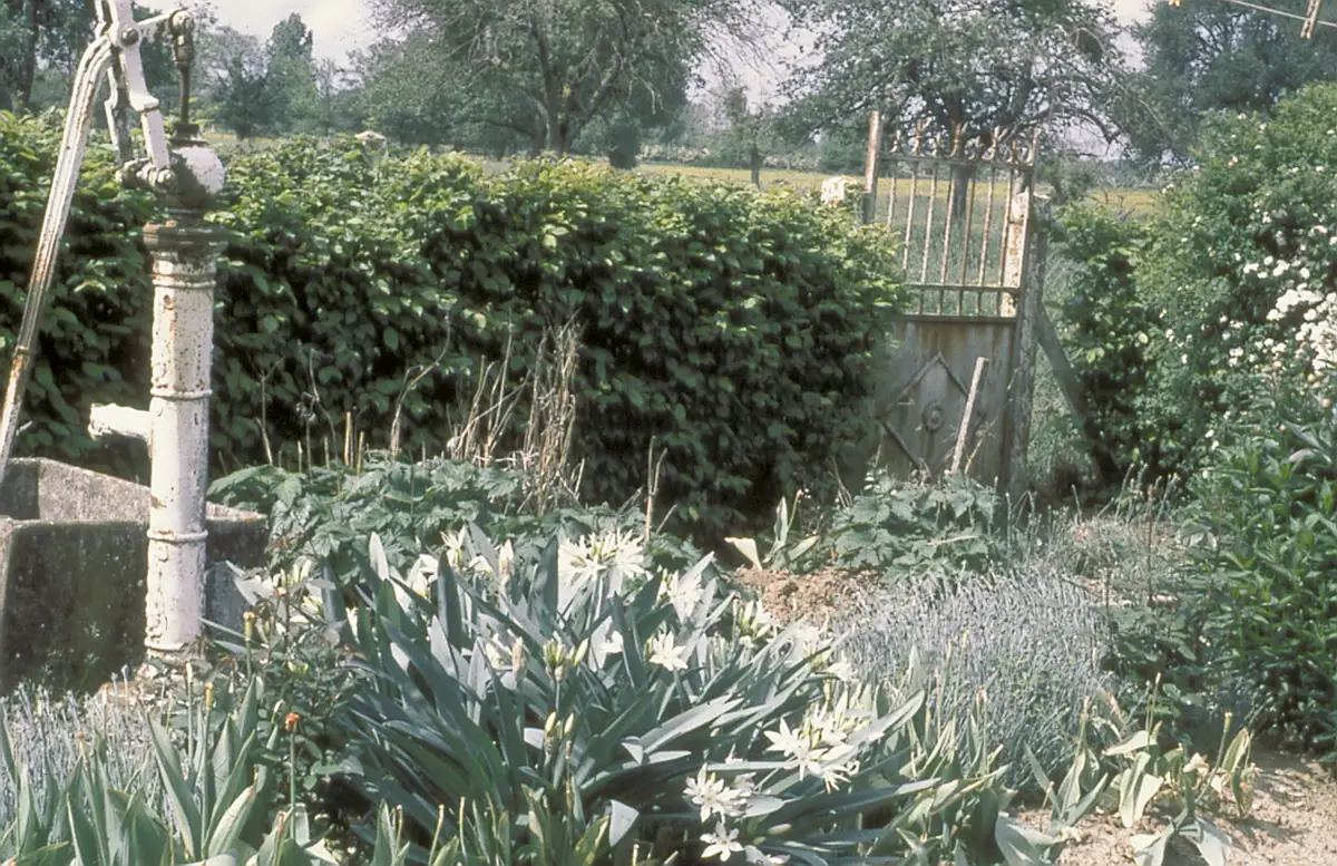 Au plus secret des jardins – Plantes domestiquées en Normandie